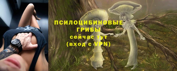 прущие грибы Балахна